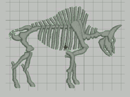 Dinosaur Skeleton